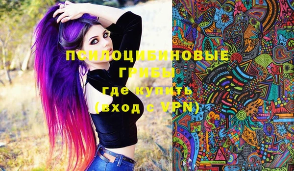 меф Инта